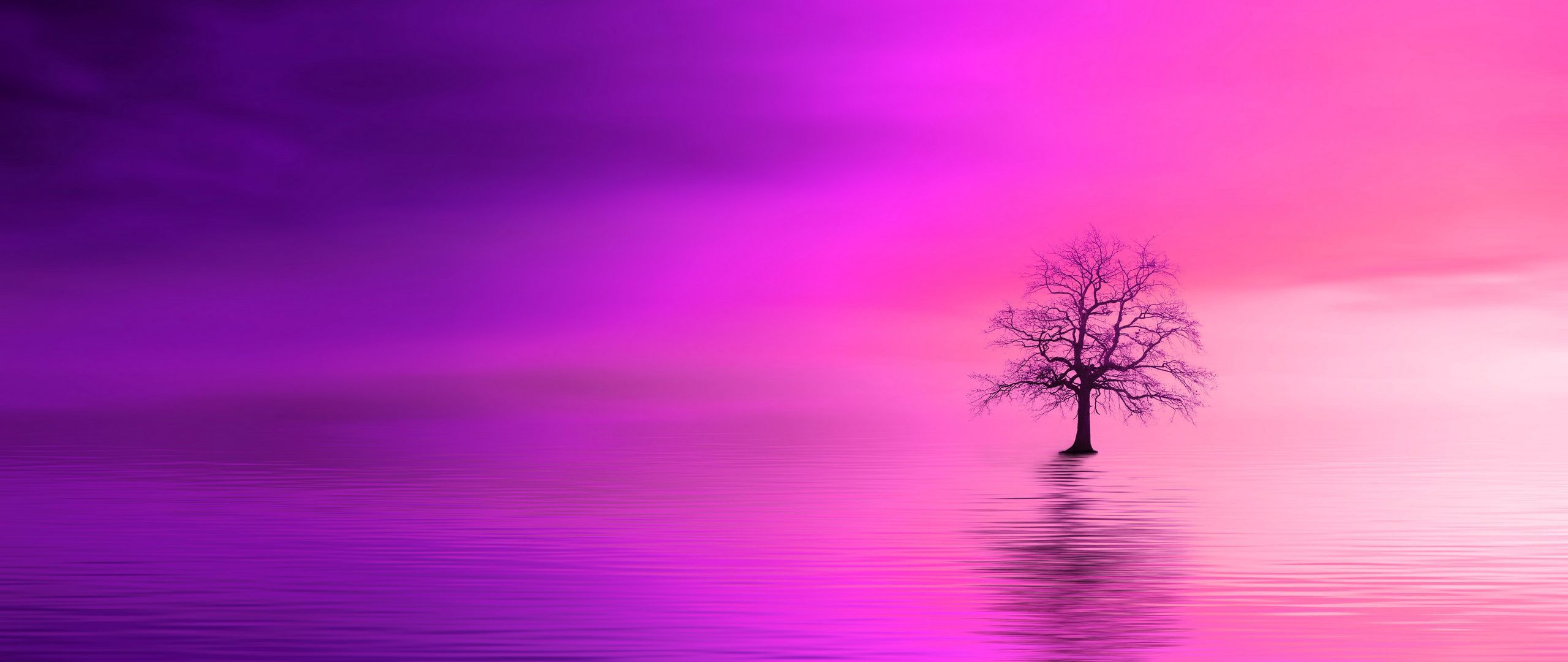 2560x1080 Download wallpaper 2560x1080 tree, pink, horizon, lonely dual wide 1080p HD background