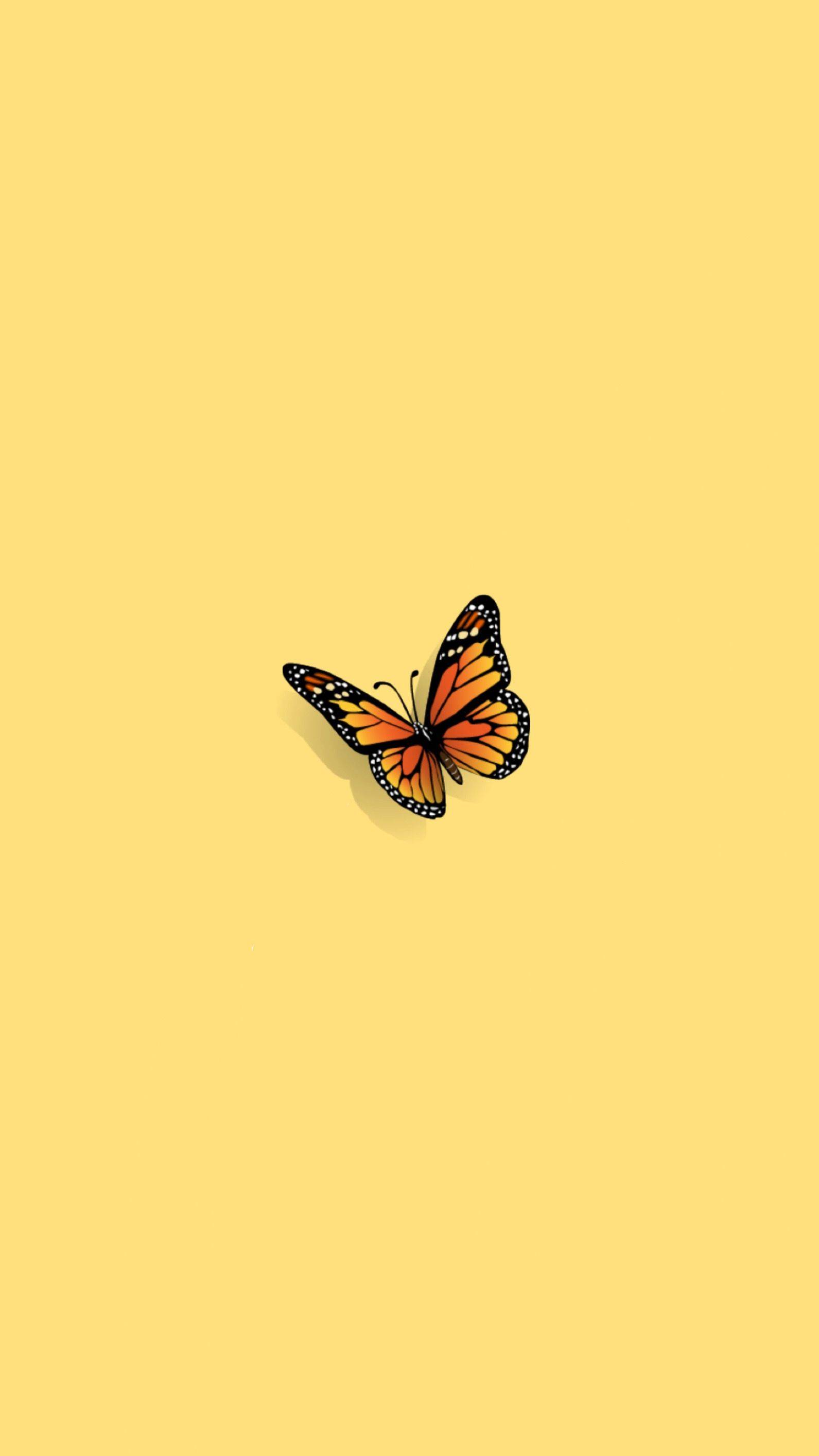 Hình nền con bướm vàng dễ thương 1591x2829
