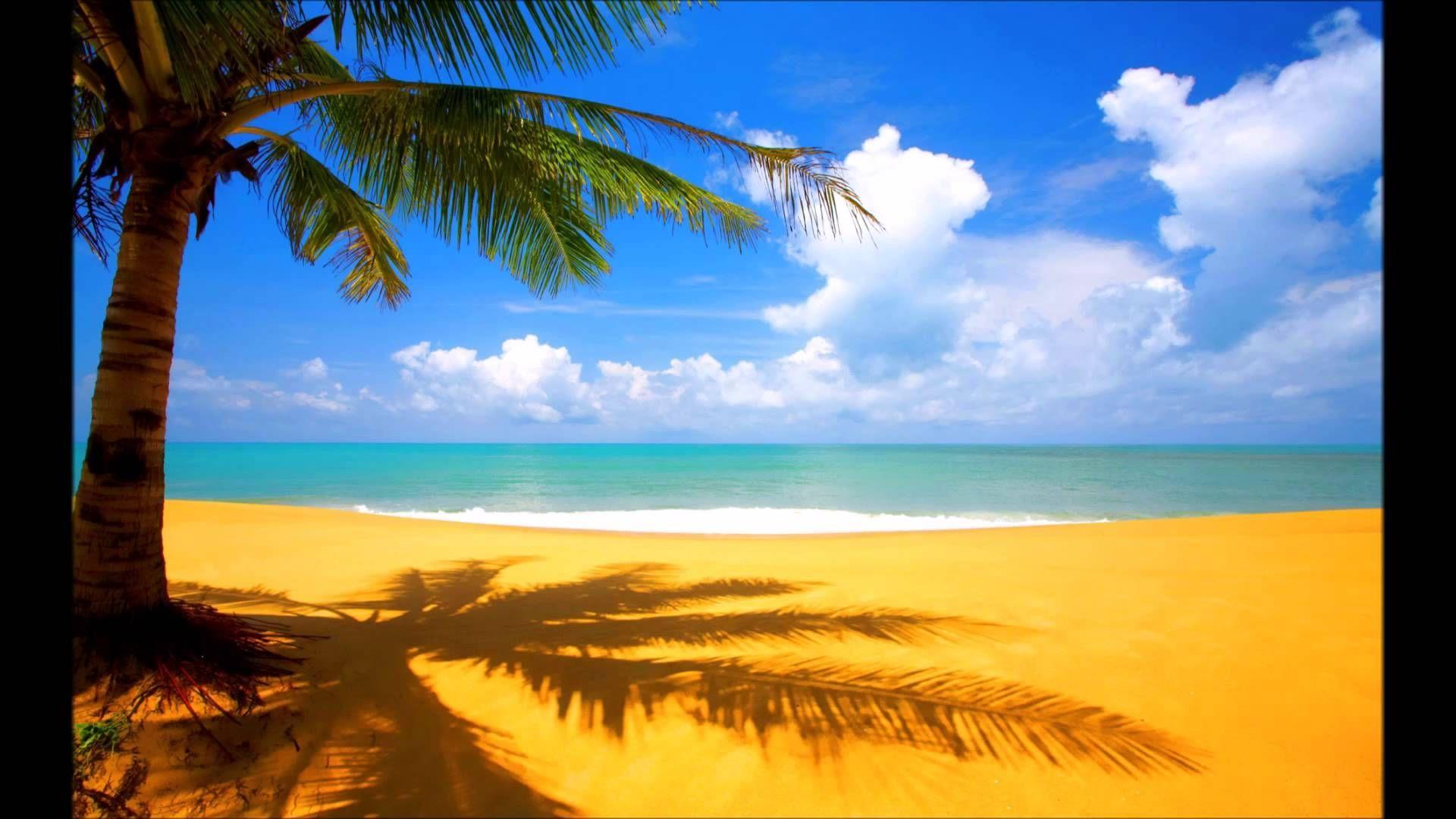 Beach Bar Wallpapers - Top Free Beach Bar Backgrounds - WallpaperAccess