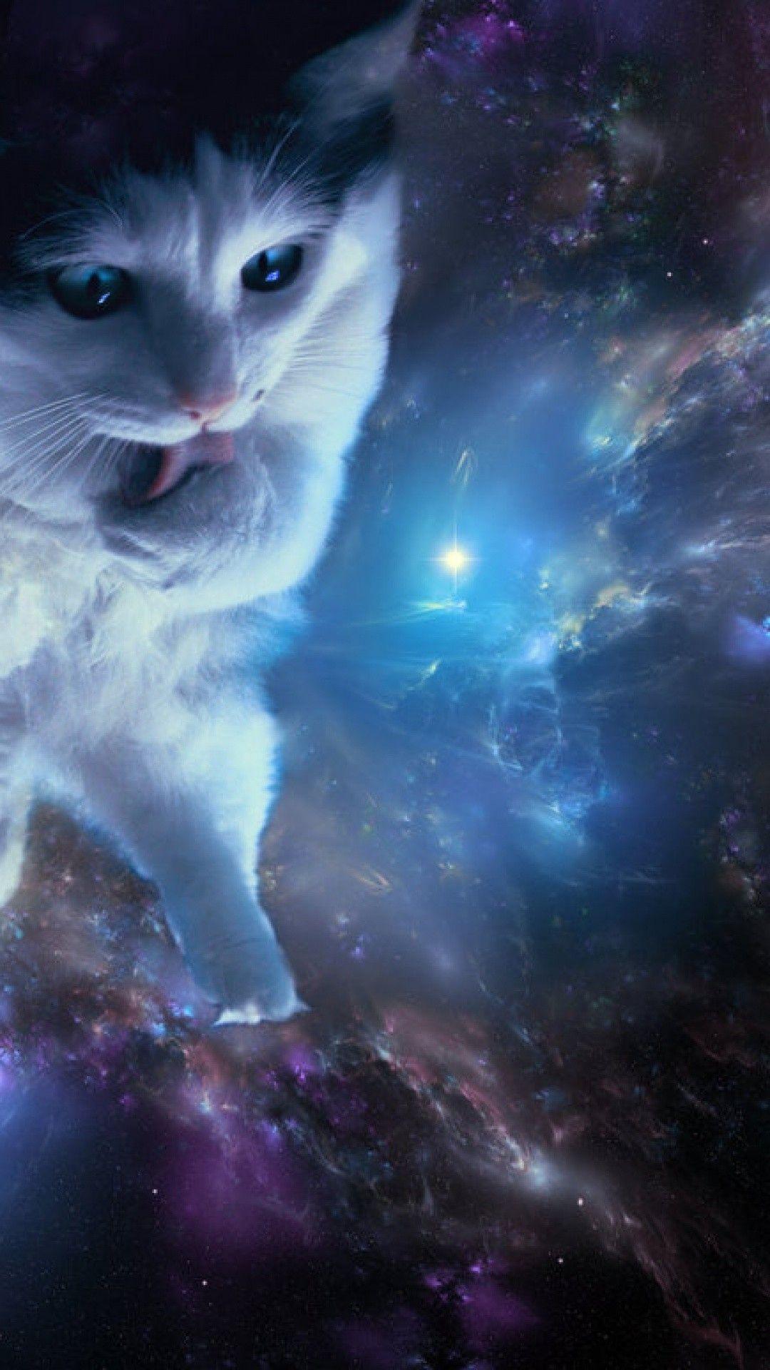 1080x1920 Space Cat wallpaper wallpaper Collections