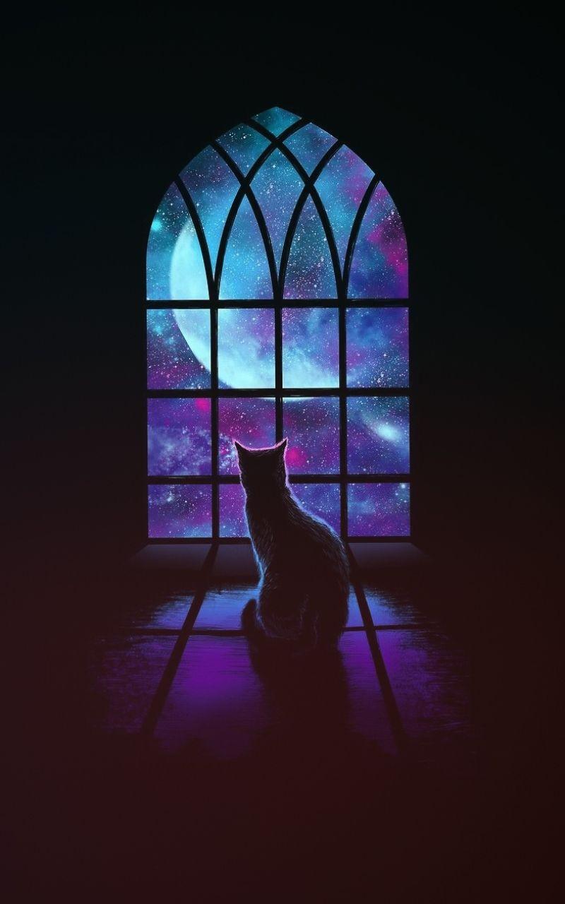 800x1280 Fantasy Cat (800x1280) Wallpaper