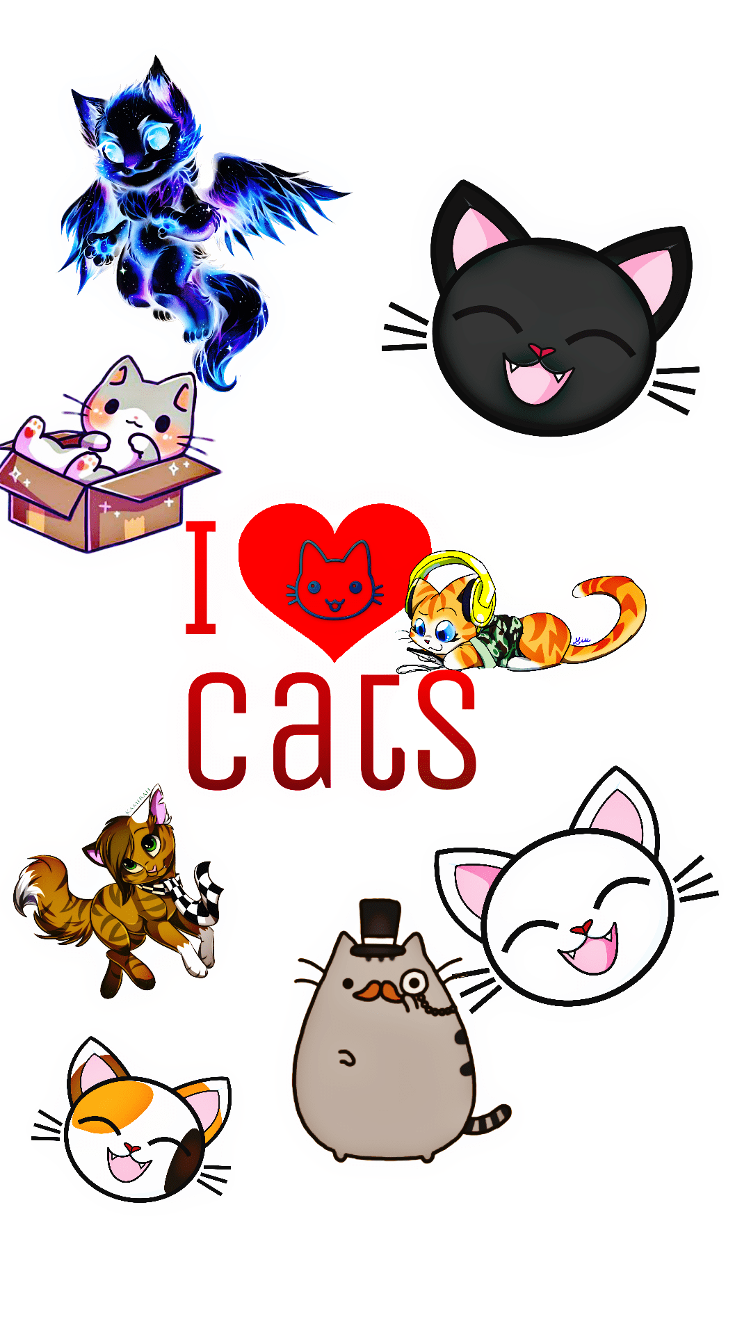 1080x1920 Cats phone wallpaper