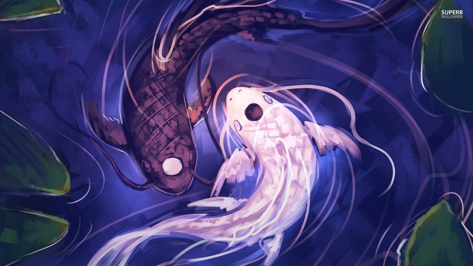 1600x900 Koi fish 3D Ultra HD for (Android) Free Download on MoboMarket