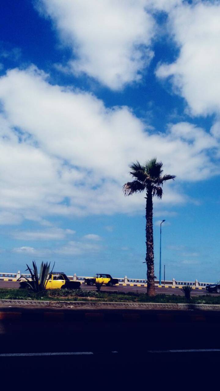 720x1280 Alexandria Egypt wallpaper