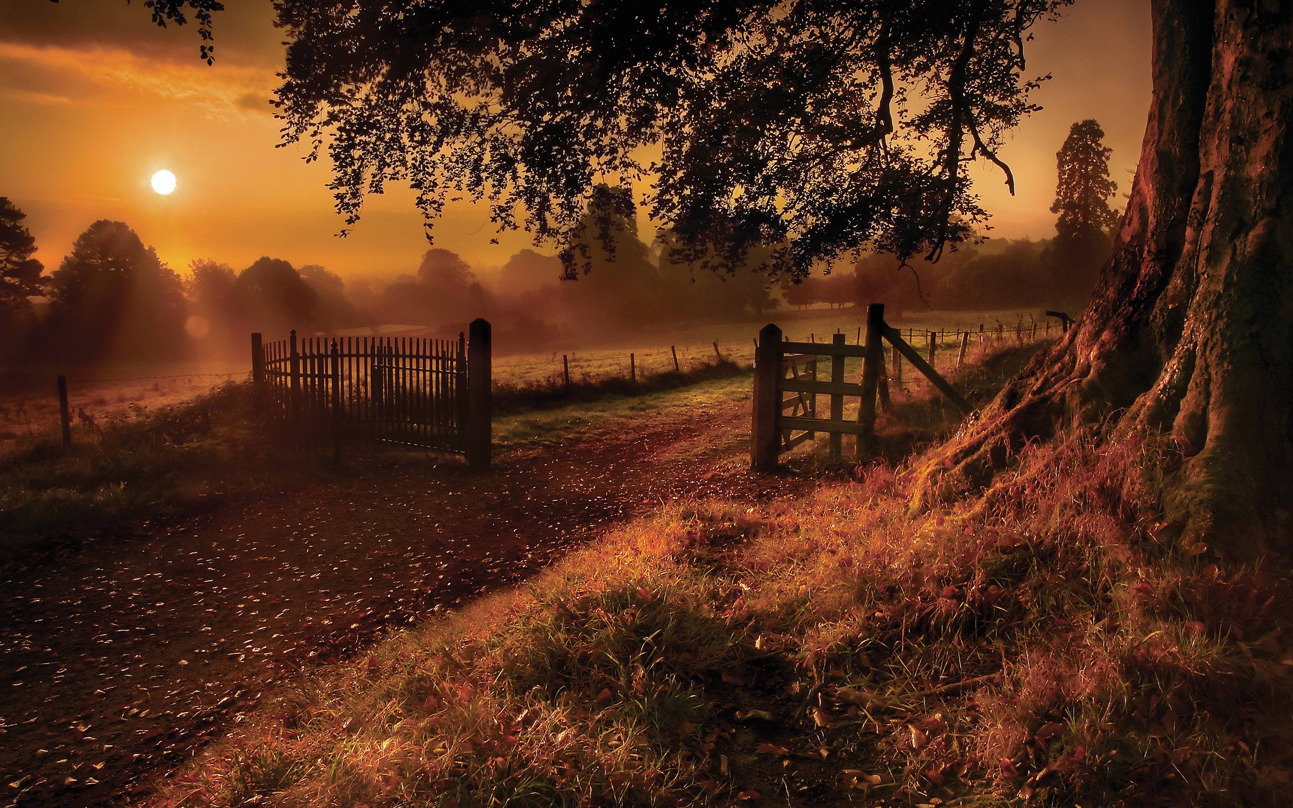 2560x1600 Old Picture Wallpaper