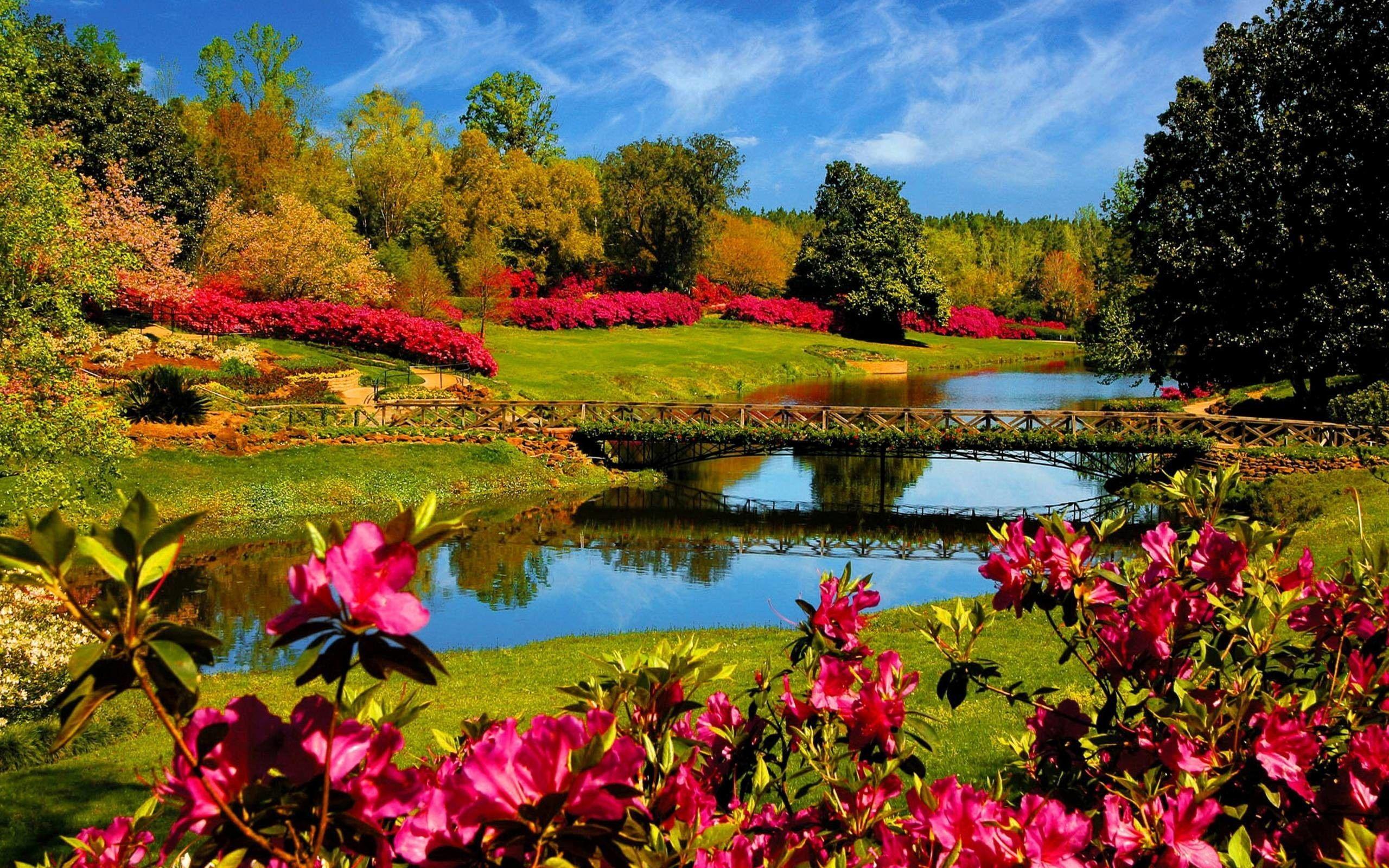 2560x1600 Springtime Wallpaper