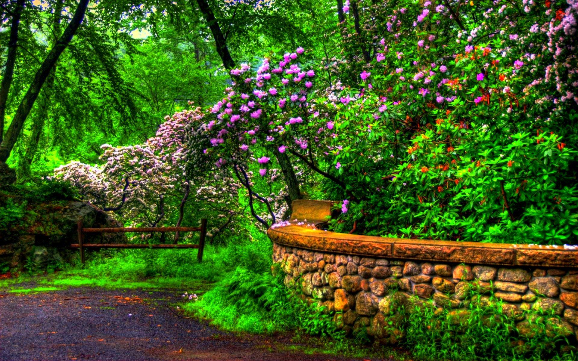 1920x1200 Springtime in the Park HD Wallpaper. Background Imagex1200