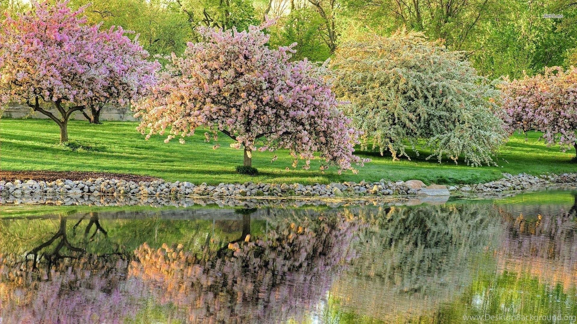 Springtime Nature Wallpapers - Top Free Springtime Nature Backgrounds ...