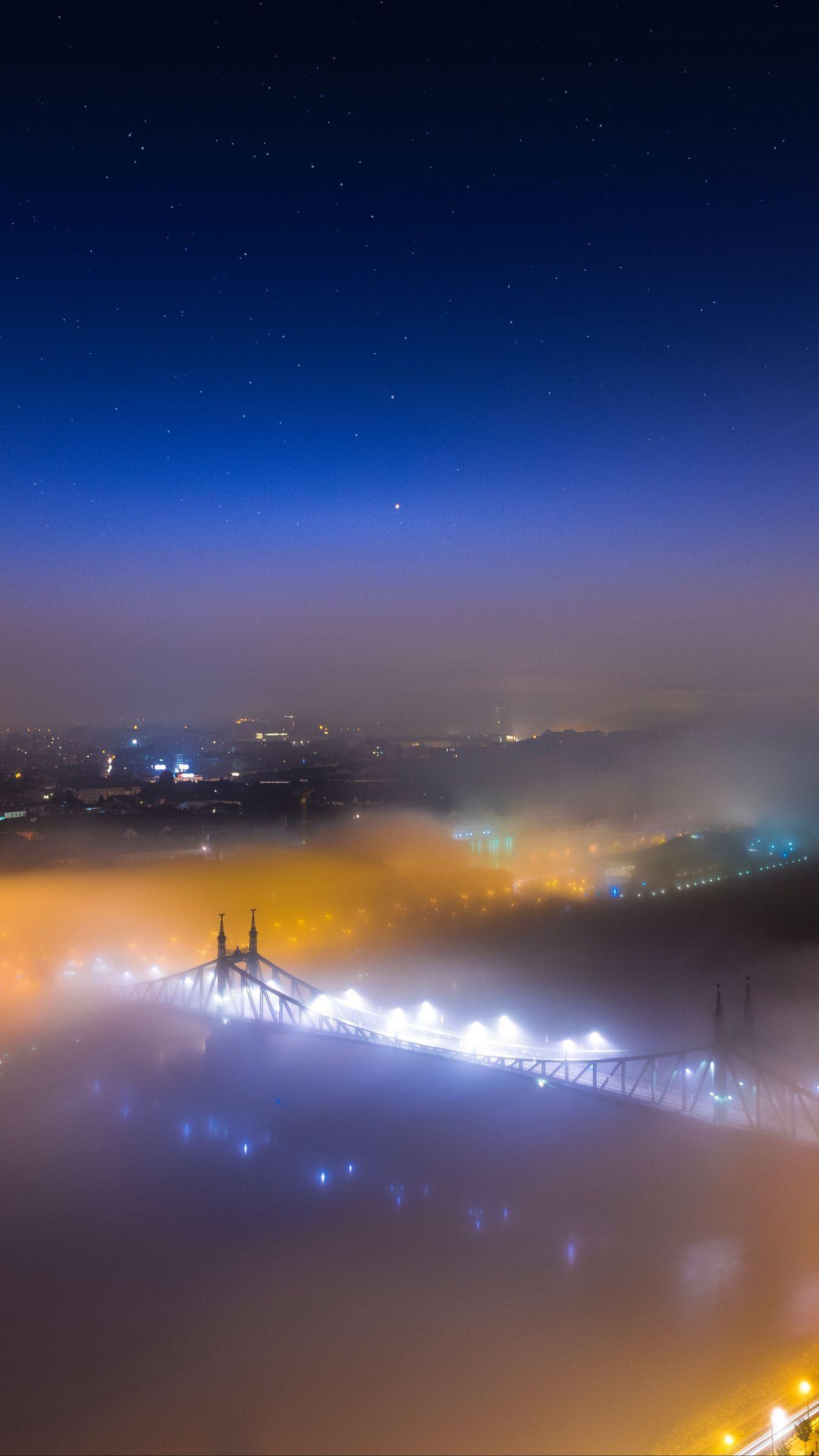 1350x2400 Download wallpaper 1350x2400 bridge, fog, night city, aerial view