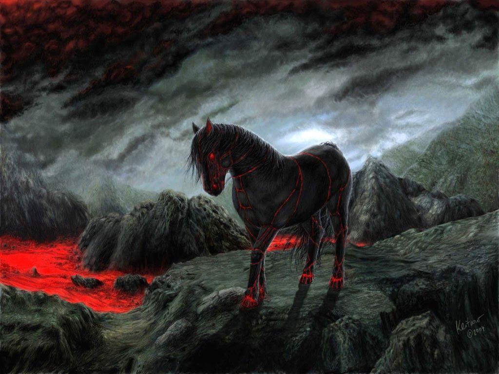 1024x768 Black Horse Wallpaper