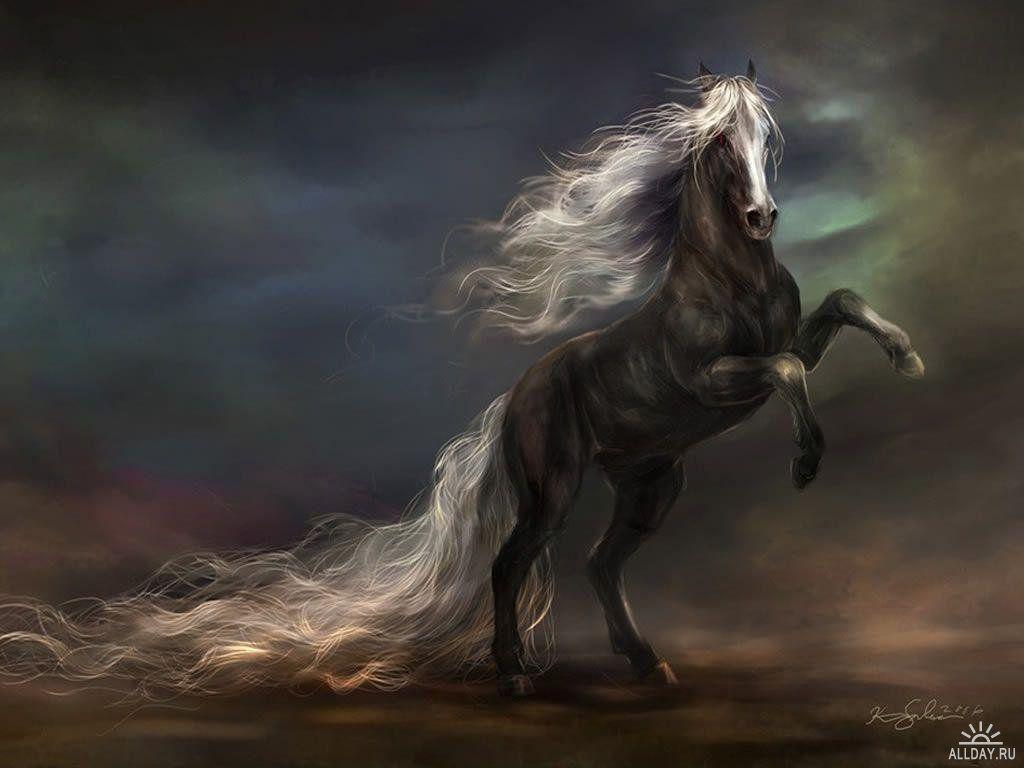 1024x768 Download wallpaper: black horse, photo desktop wallpaper