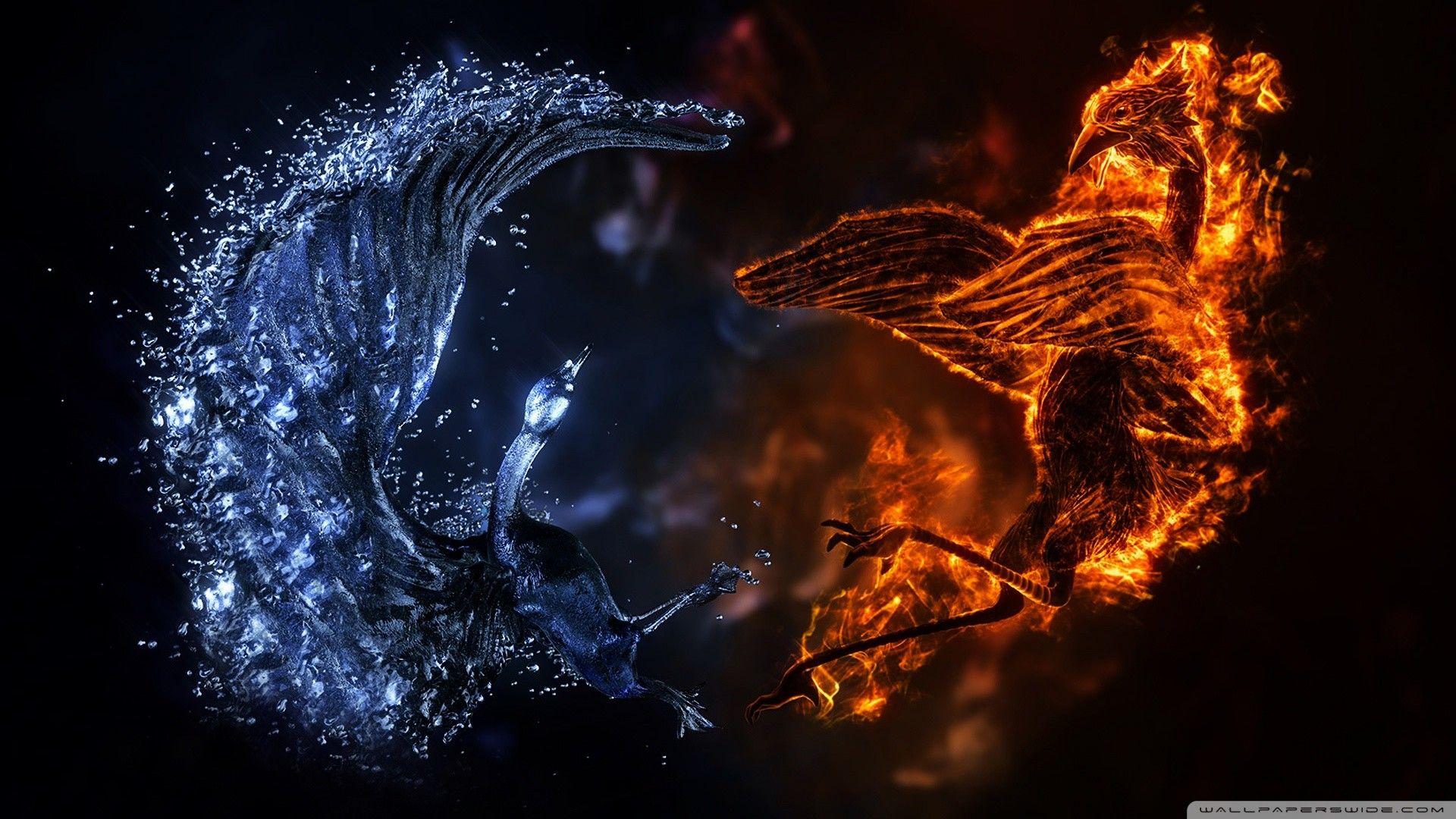 1920x1080 Abstract Fire Horse Wallpaper Bird Vs Water Bird