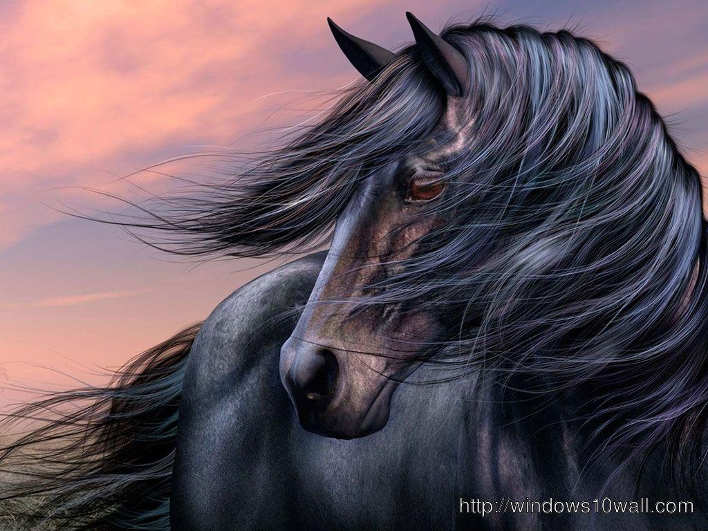 1024x768 Stunning Black Horse Wallpaper