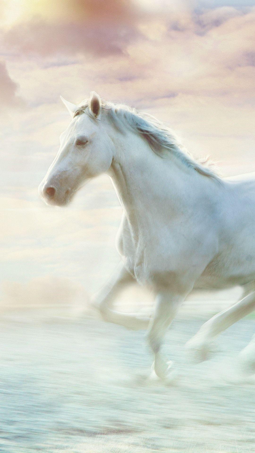 1080x1920 White Horse Running, Water, Art Picture 1080x1920 IPhone 8 7 6 6S