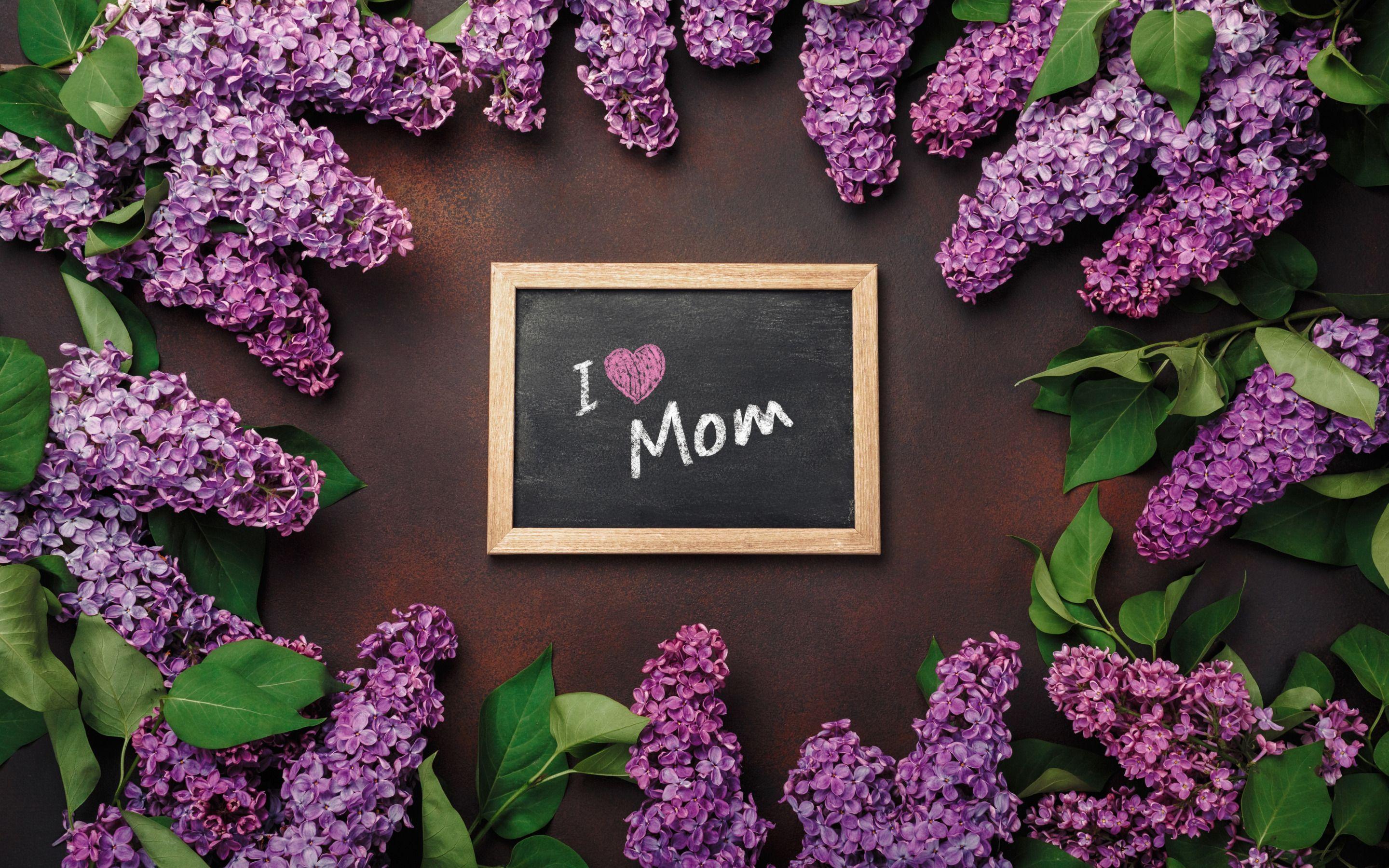 2880x1800 Download wallpaper I Love Mom, Mothers Day, message to mom, lilac