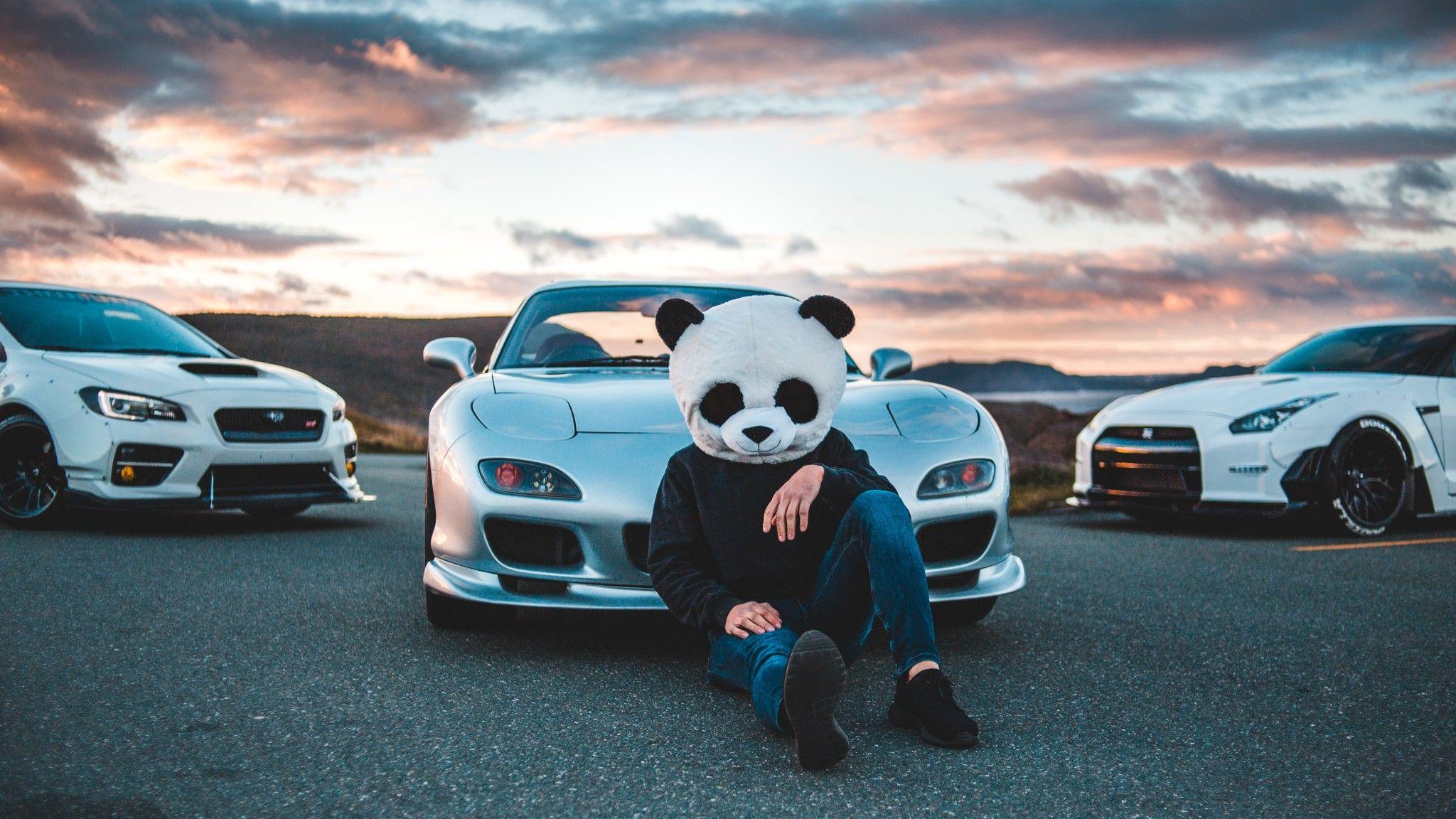 2048x1152 Panda Boy With Cars 5k 2048x1152 Resolution HD 4k