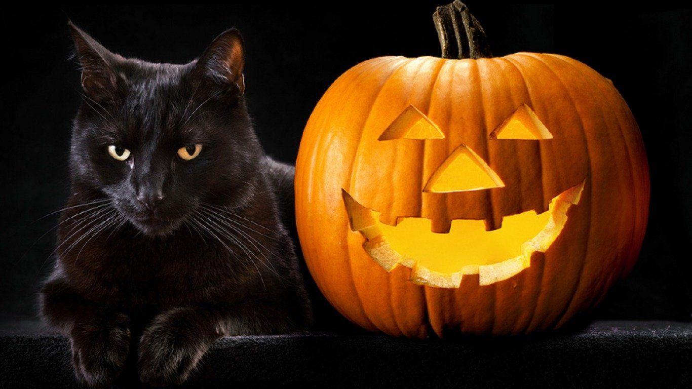 1366x768 Happy Halloween! Wallpaper and Background Imagex768