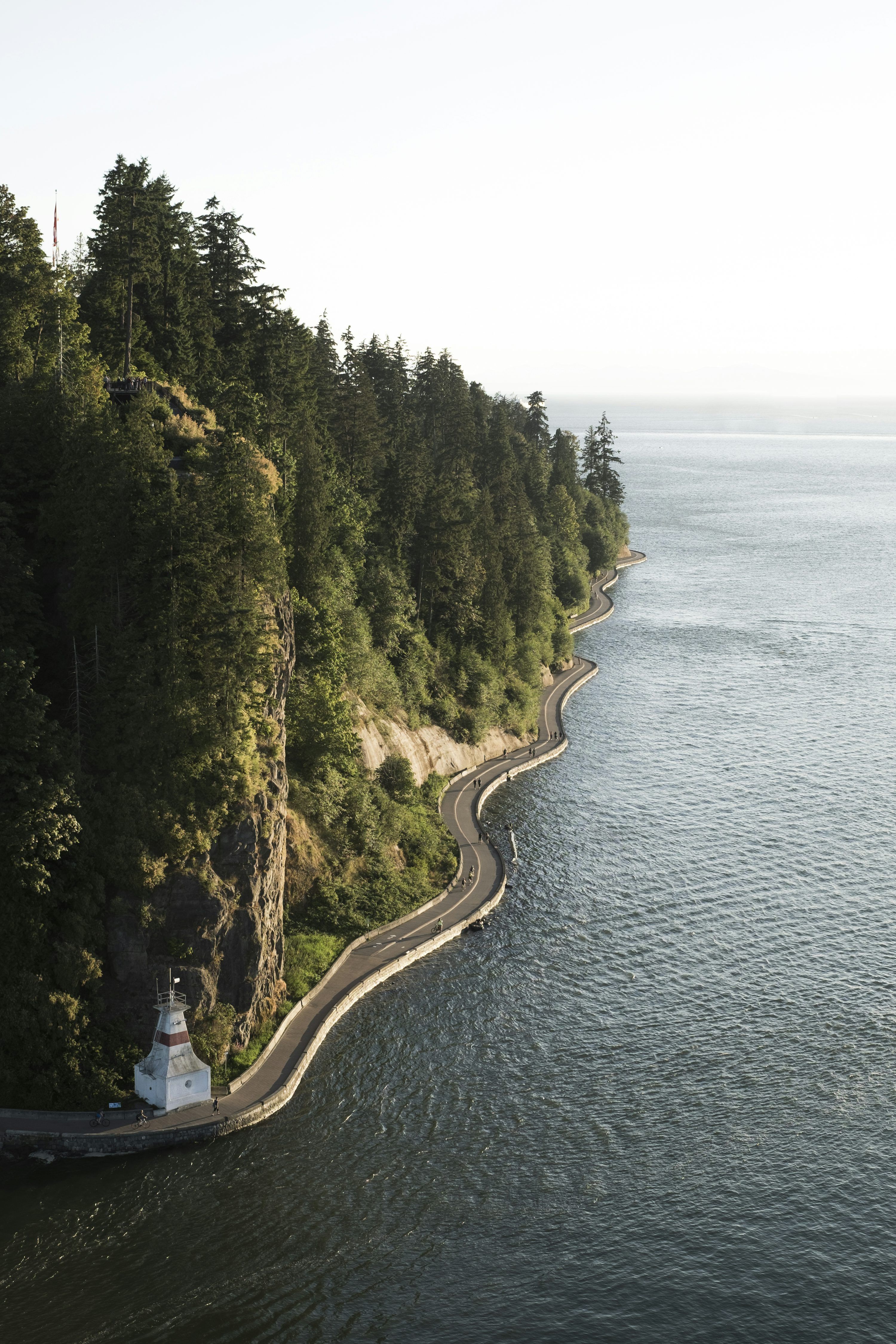 3000x4500 Stanley Park Picture. Download Free Image