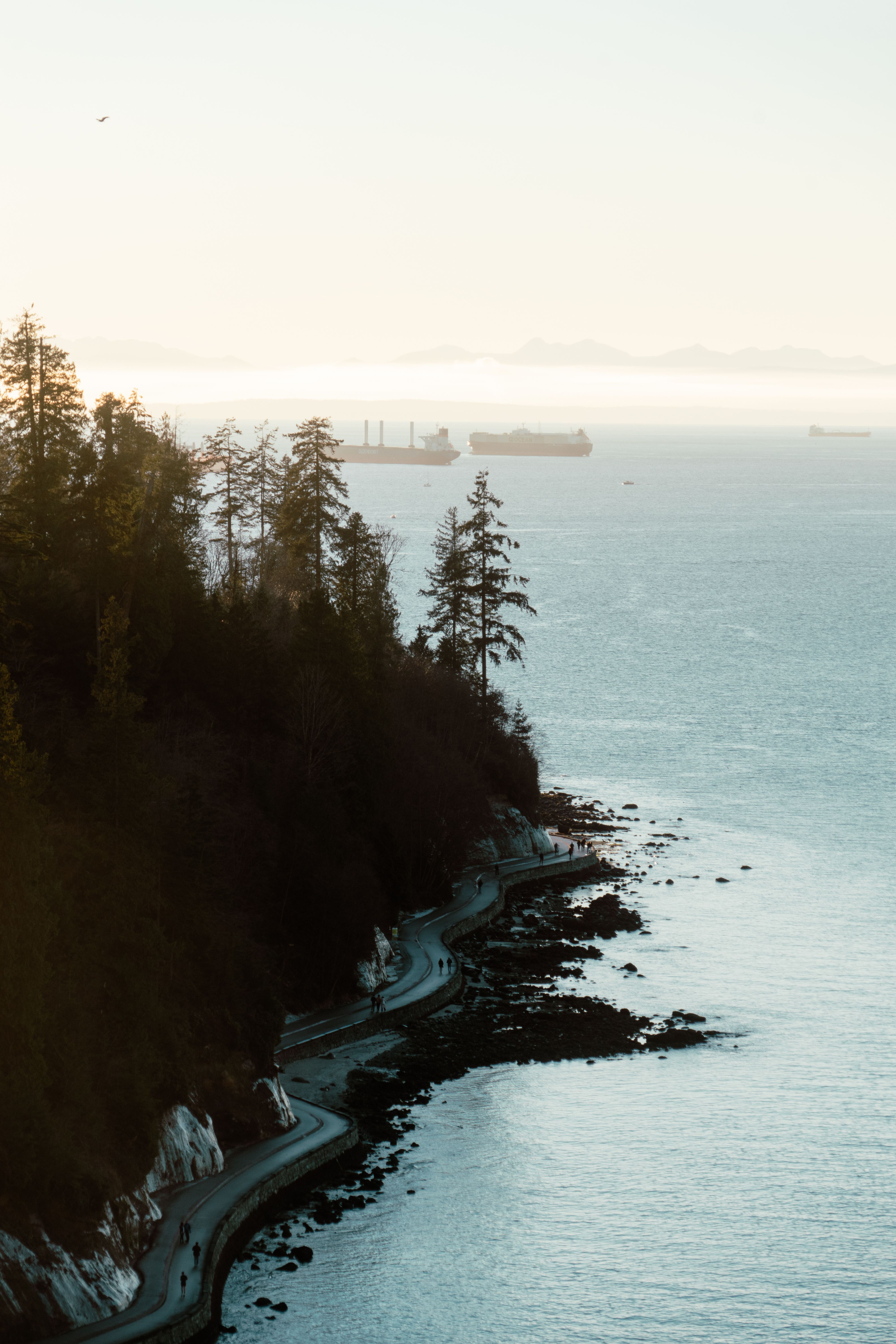 4000x6000 Stanley Park Photo, Download The BEST Free Stanley Park & HD Image