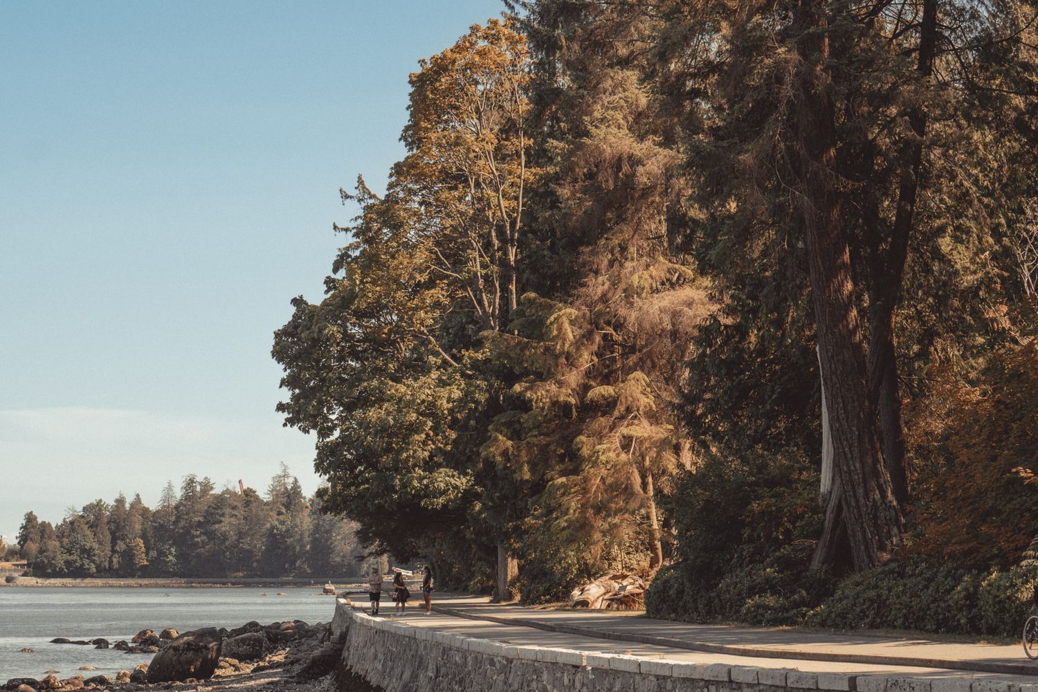 1500x1000 Stanley Park Vancouver Photo, Download The BEST Free Stanley Park Vancouver & HD Image