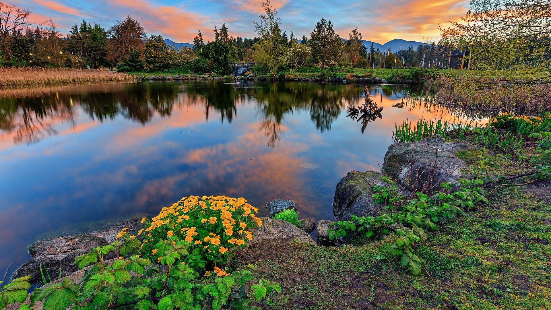 1920x1080 Stanley Park Wallpaper