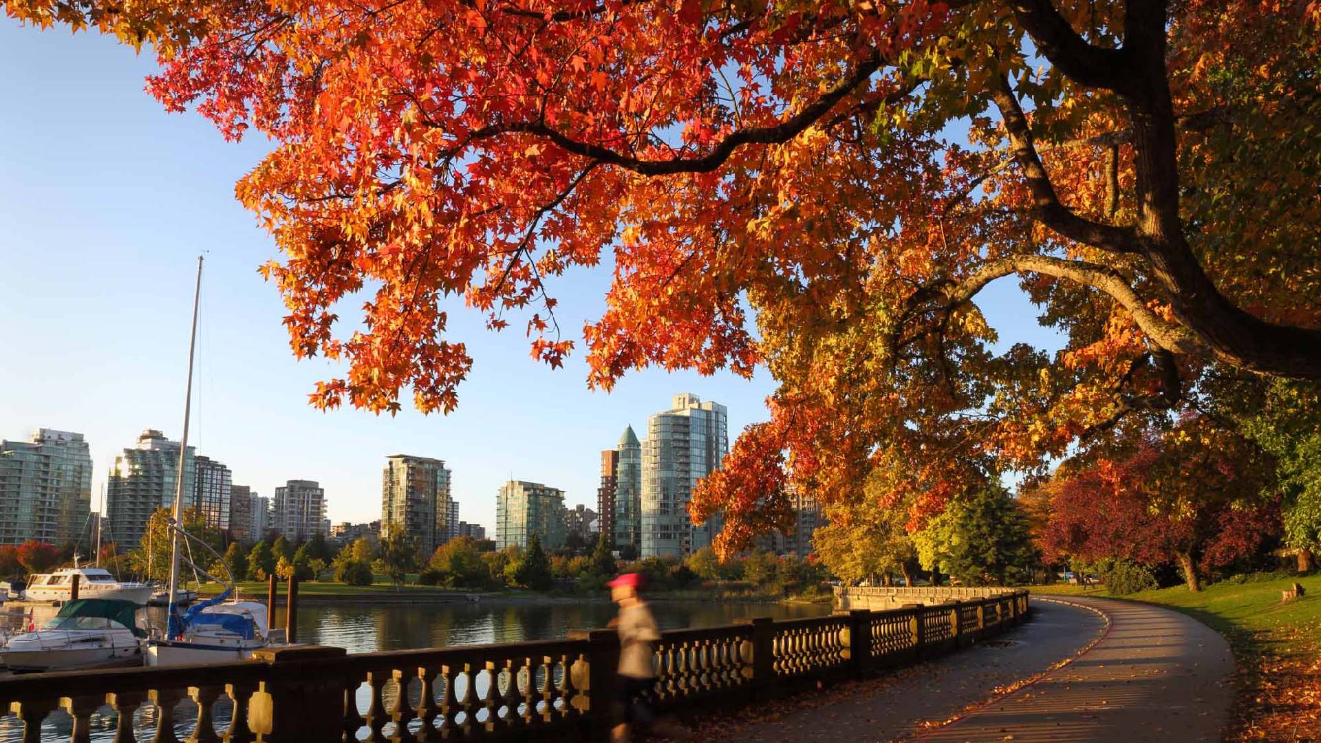1920x1080 Stanley Park, Vancouver, British Columbia: Urban Oasis