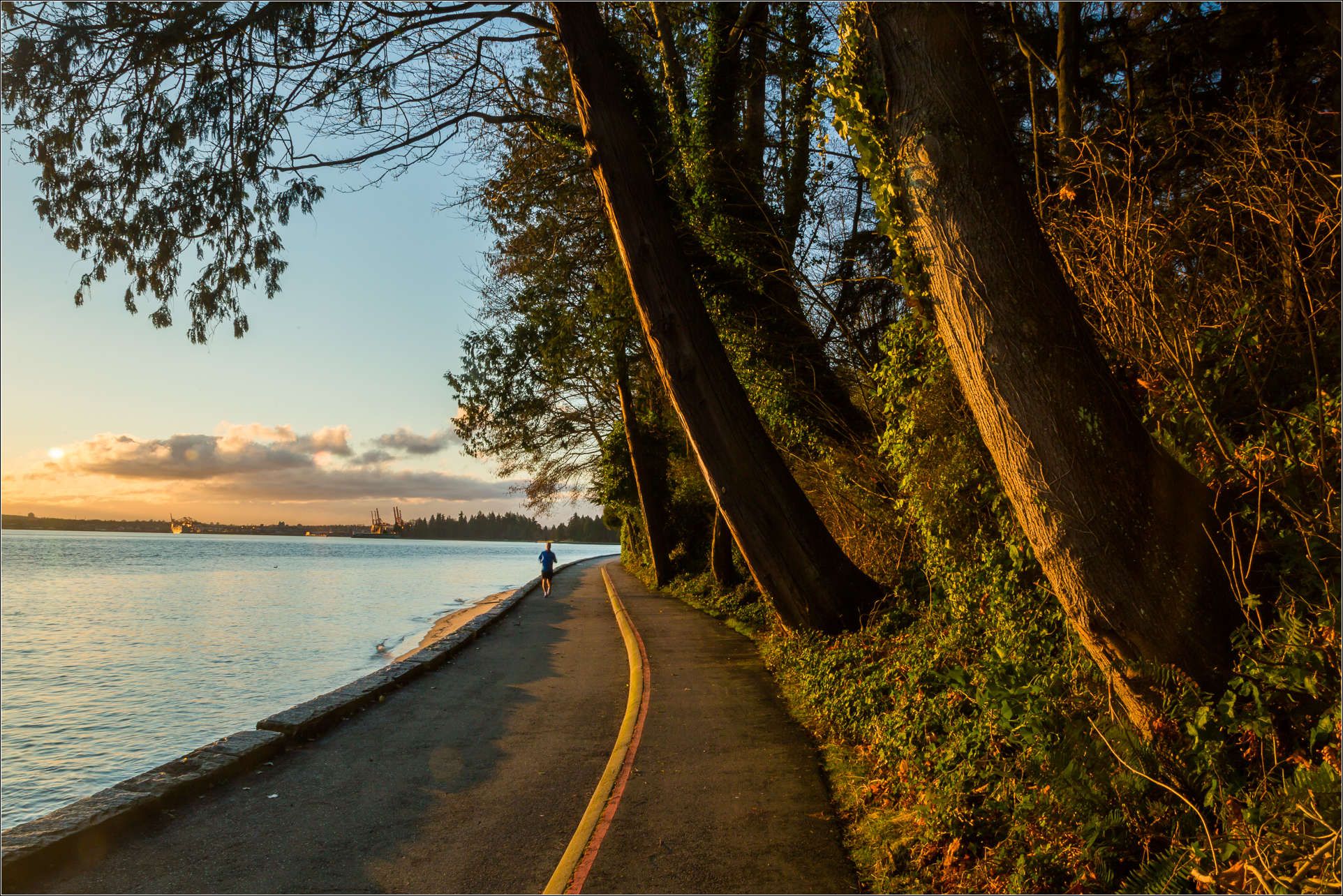 1924x1284 Stanley Park. Christopher Martin Photography