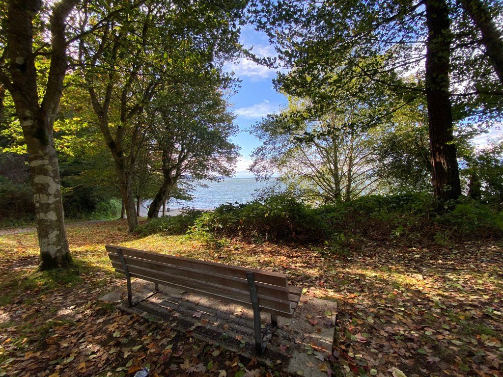 1024x768 1: Stanley Park