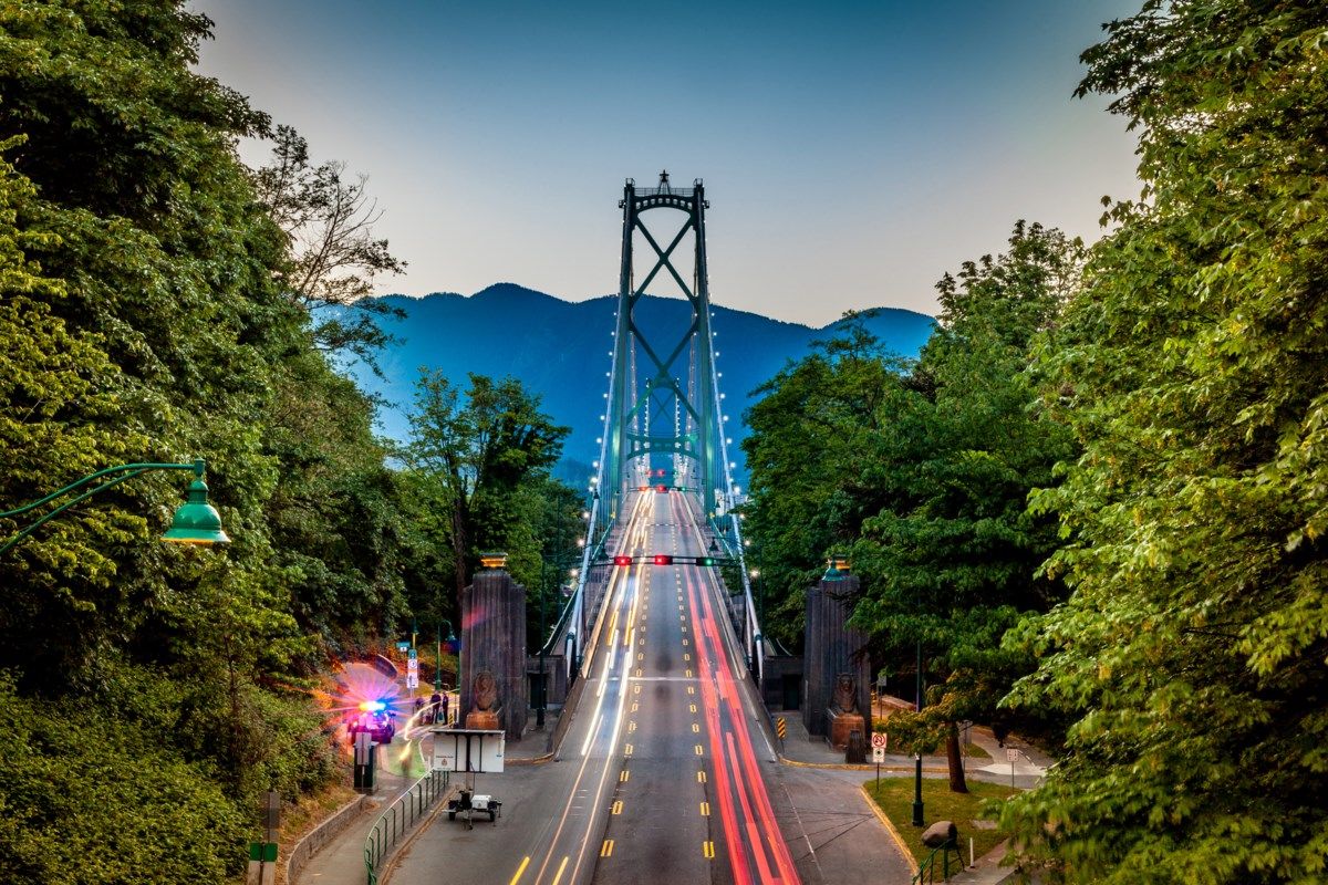 1200x800 What's killing so many trees in Stanley Park? Is Awesome