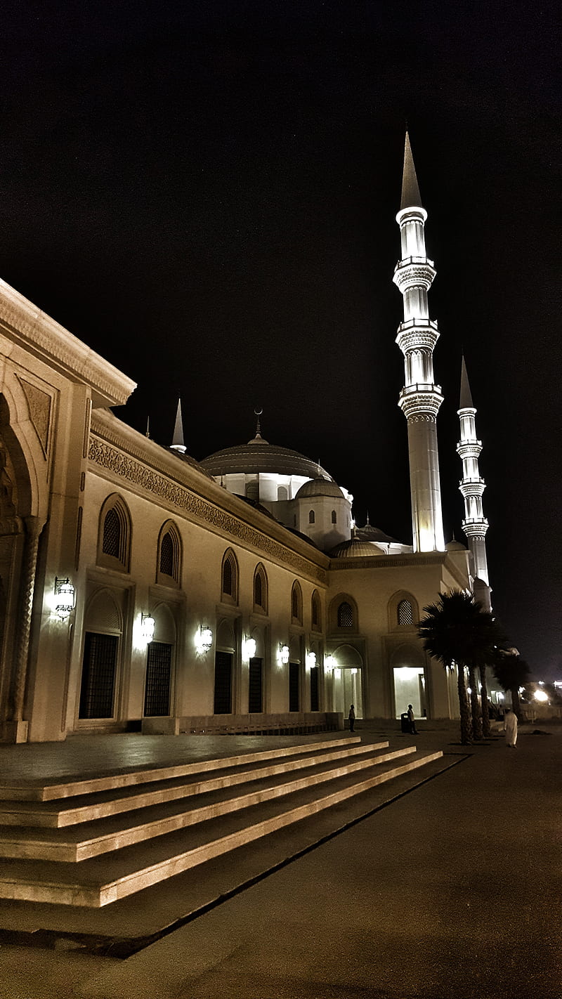 800x1422 Dubai mosque, HD phone wallpaper