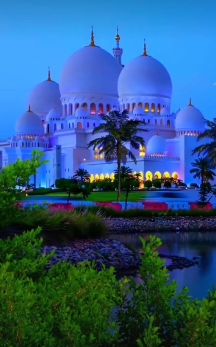 720x1155 The Grand Mosque at Night