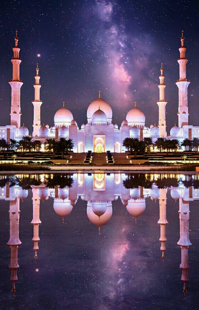 800x1244 Mosque, city, cool, dubai, holidays, latest, op, palace, swahabhaan, HD phone wallpaper