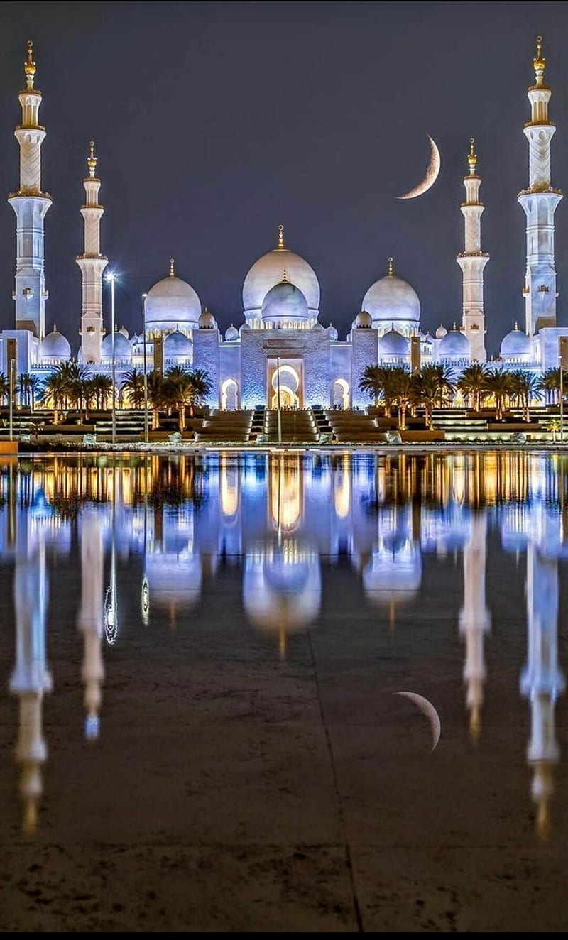 800x1324 Mosque Abu Dhabi, bonito, HD phone wallpaper