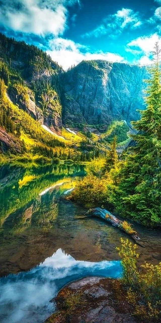 640x1280 Vancouver Island, BC, Canada Mountain Lake. Best nature background lakes, Mountain valley with lake wallpaper, Beautiful picture of washington state