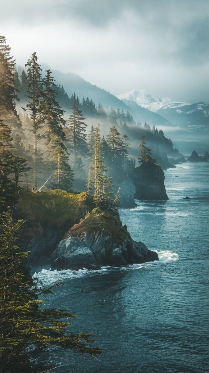 674x1201 Pacific northwest aesthetic. Top destinations in the Pacific Northwest. Washington coastline, Vancouver island beach, Pacific northwest coast