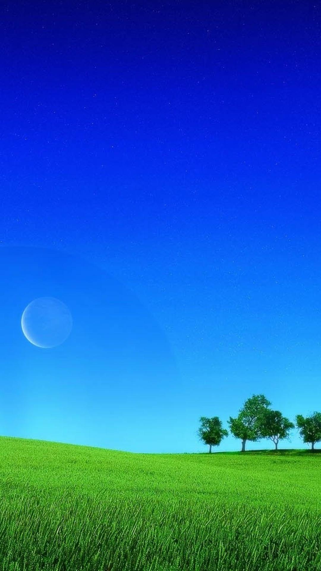 1080x1920 Blue Nature Mobile Wallpaper