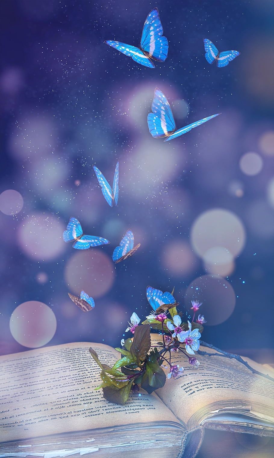 910x1517 Free nature wallpaper photo