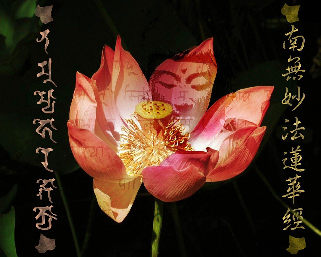 1280x1024 Buddha in the Lotus