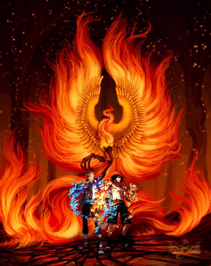 855x1077 Marco The Phoenix iPhone Wallpaper