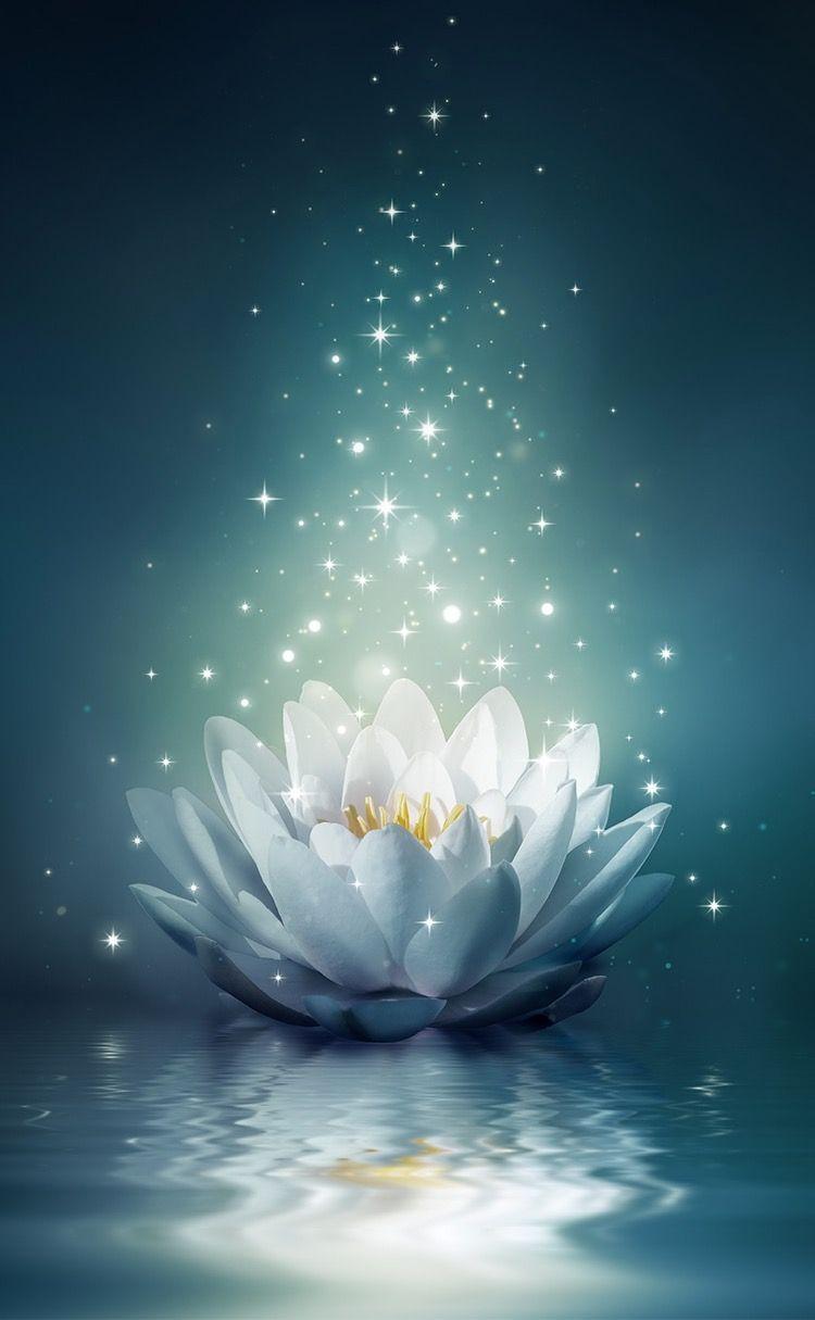 Blue Lotus Buddha Wallpapers Top Free Blue Lotus Buddha Backgrounds