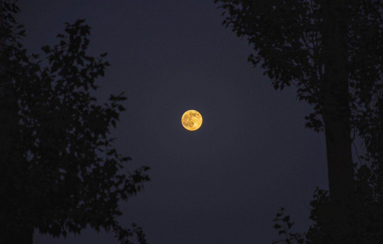 1332x850 Wallpaper red, moon, hot, photographer, night, orange, nice