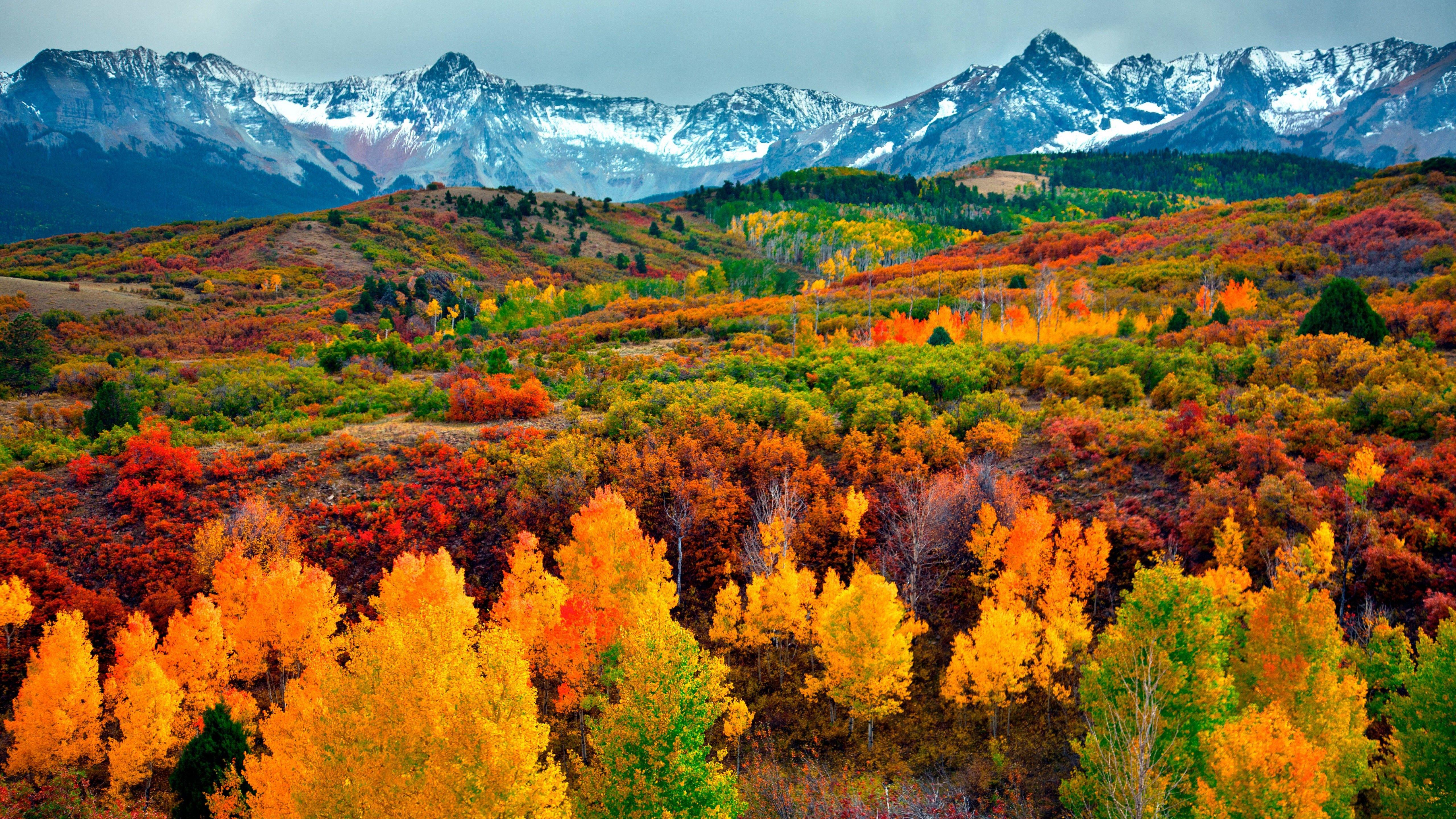 5120x2880 Mountains and forest in autumn Wallpaper 5k Ultra HD
