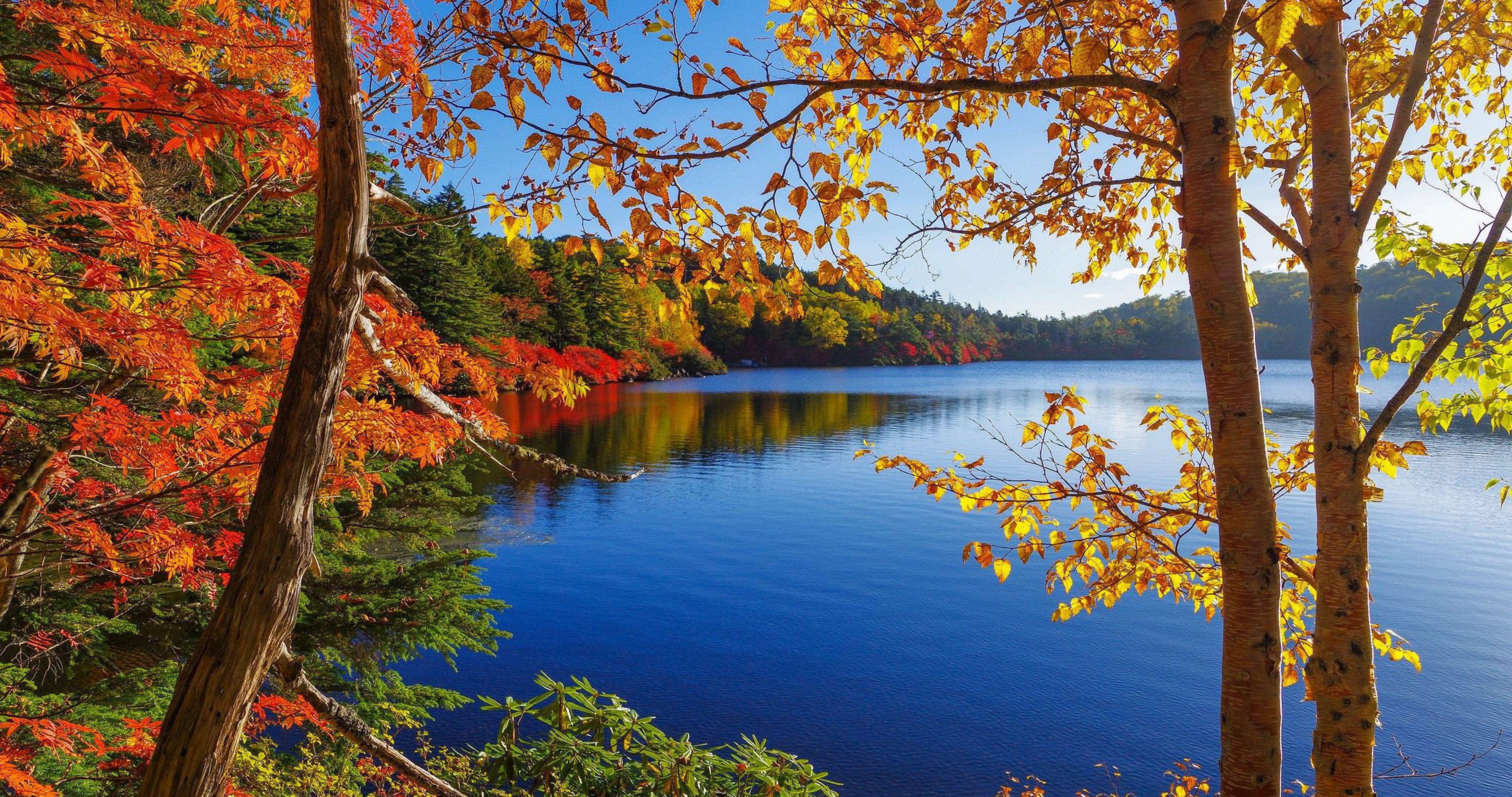 4K Autumn Wallpapers - Top Free 4K Autumn Backgrounds - WallpaperAccess