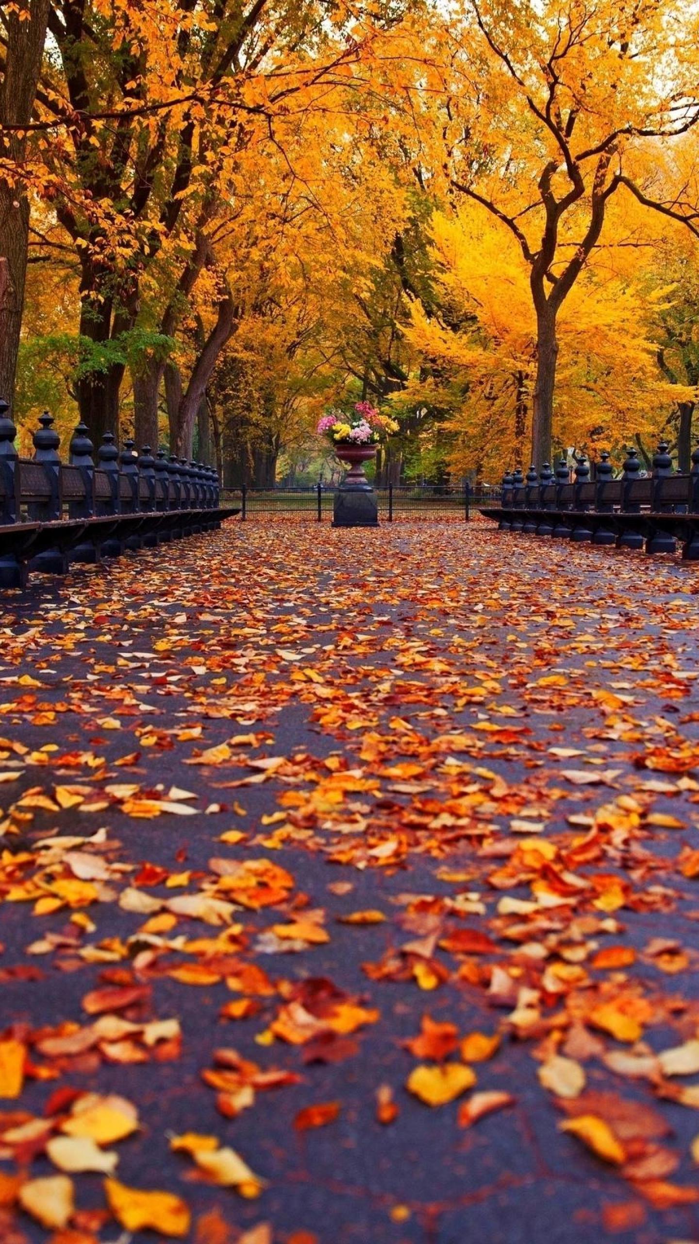 4K Autumn Wallpapers - Top Free 4K Autumn Backgrounds - WallpaperAccess