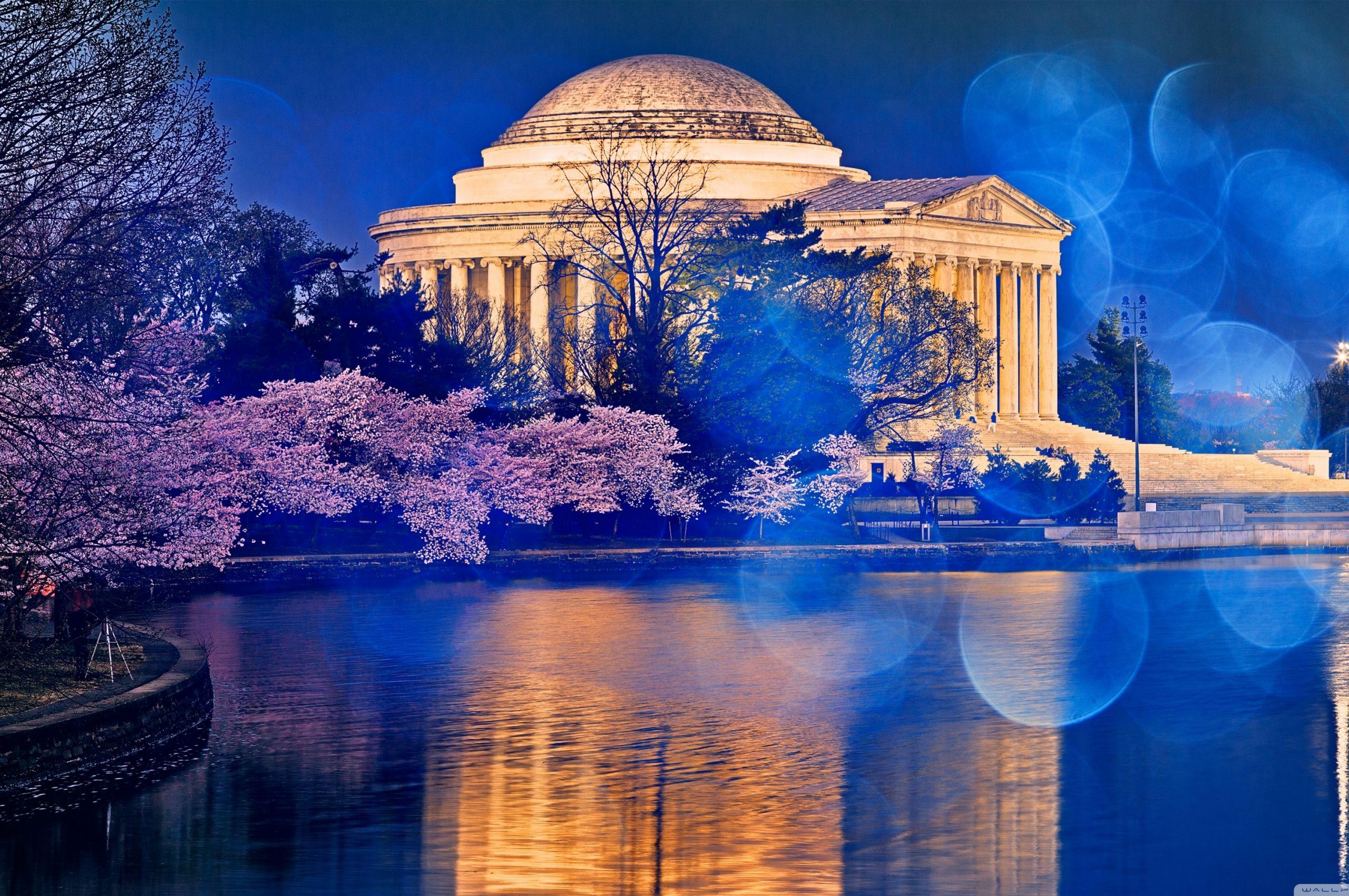 2560x1700 Free download Thomas Jefferson Memorial Cherry Blossom 4K HD