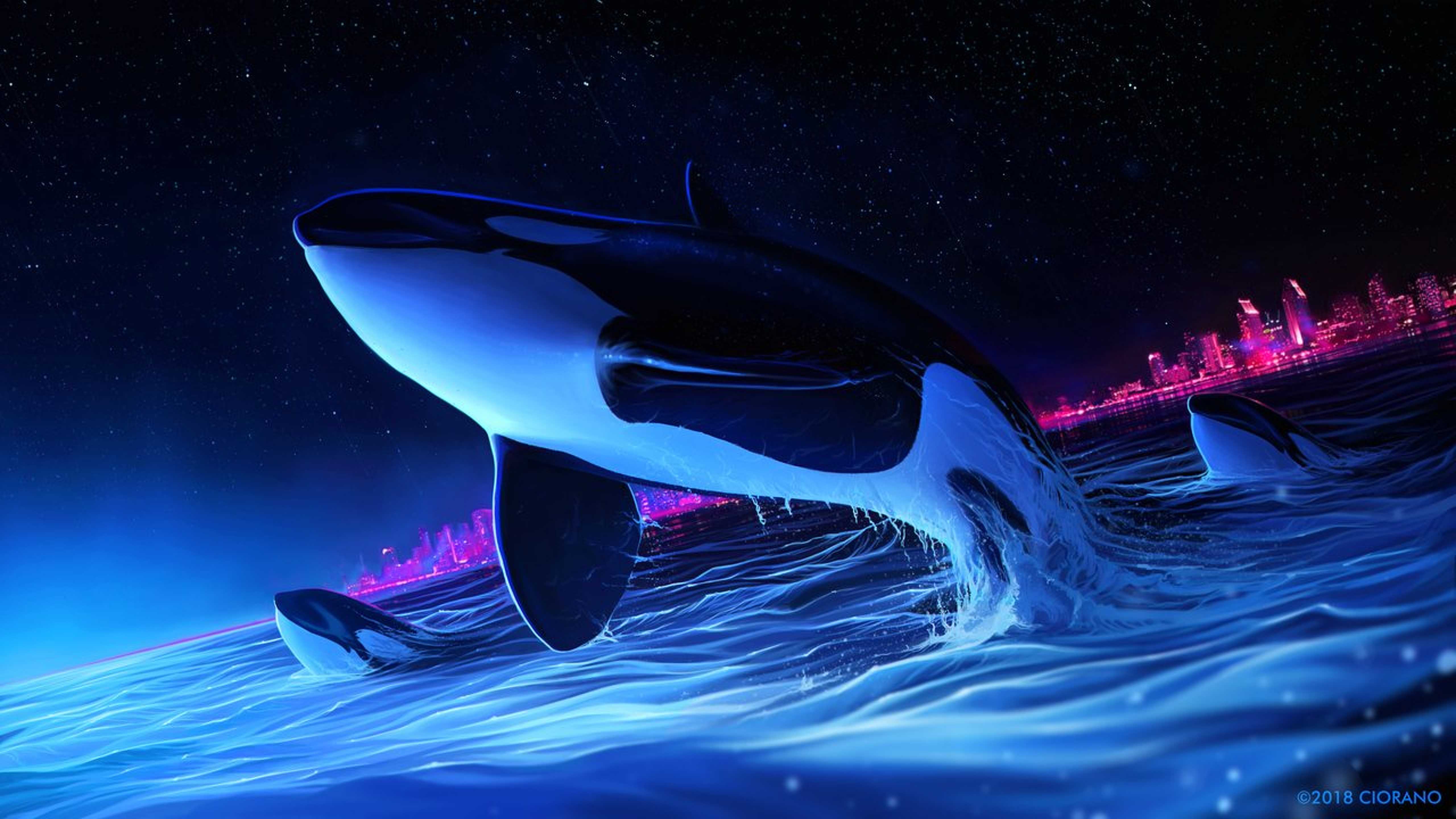 5120x2880 Dolphin Night Orca Whale Digital Art HD Wallpaper (5120x2880)