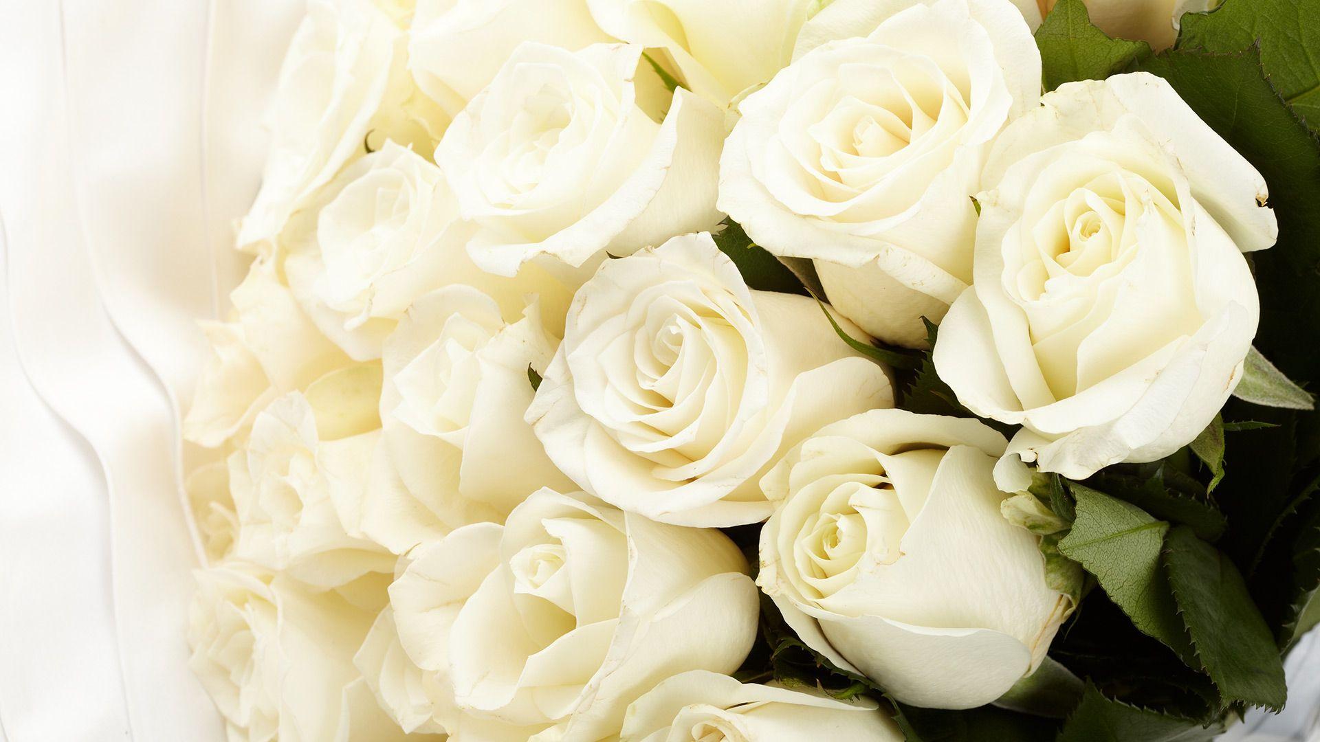 Funeral Flowers Wallpapers - Top Free Funeral Flowers Backgrounds - WallpaperAccess