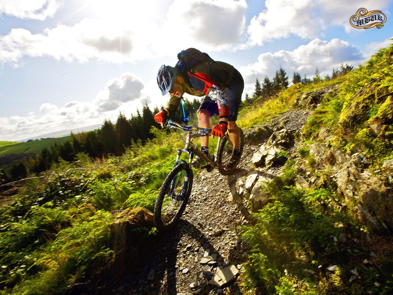 Trek Mountain Bike Wallpapers - Top Free Trek Mountain Bike 