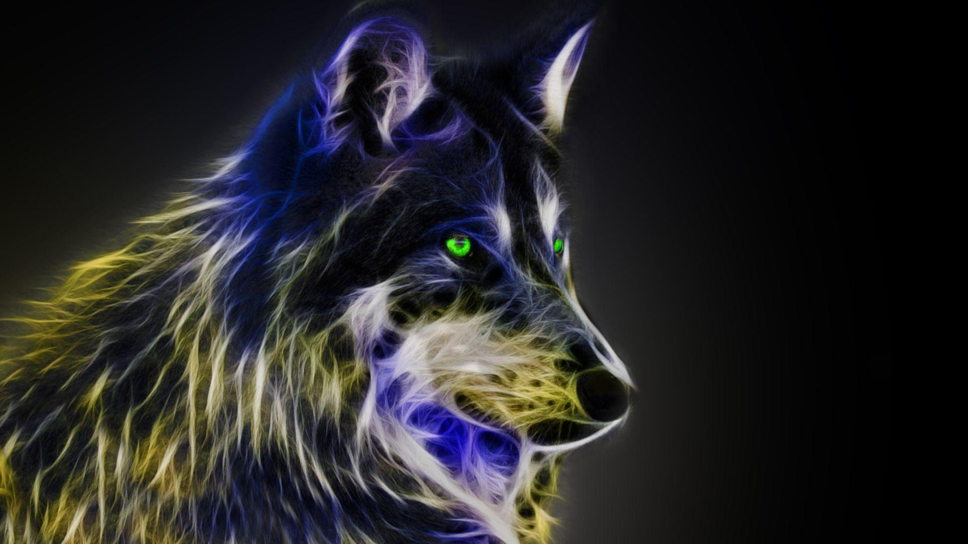 1920x1080 Free download Cool Animal Wallpaper Light Wolf Cool wolf back