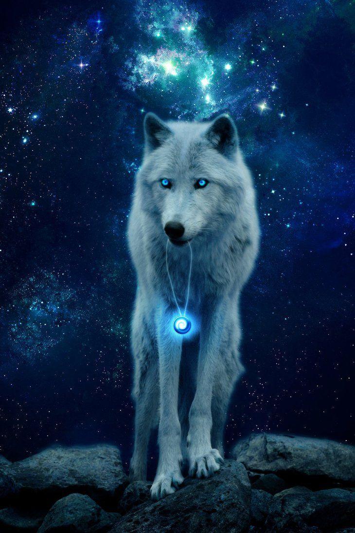 730x1095 The light of stars